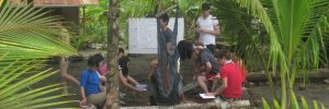 Business Plan Development with Environmental Conservation Organization in Costa Rica – 2 Positions